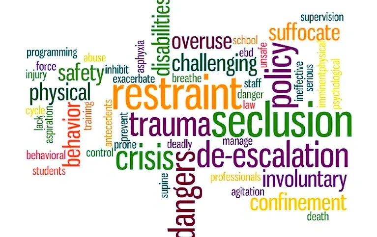 wordcloud restraint secultion trauma de-escalate crisis policy disabilities